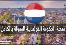منحة الحكومة الهولندية الممولة بالكامل
